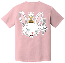 Load image into Gallery viewer, Lucky Rabbit
